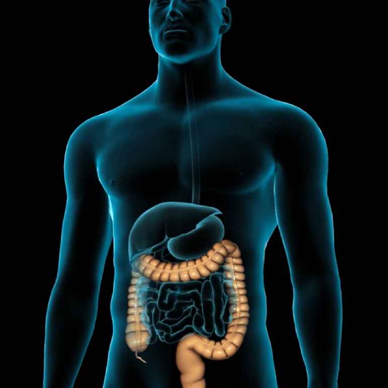 Endoscopy